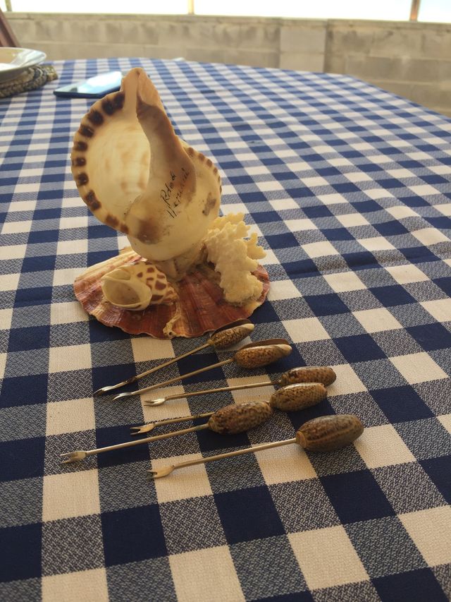Juego de 6 pinchos metálicos