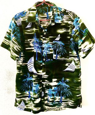 Camisas Hawaianas de segunda mano en Málaga en WALLAPOP Camisas Hawaianas de segunda mano en la provincia de Málaga