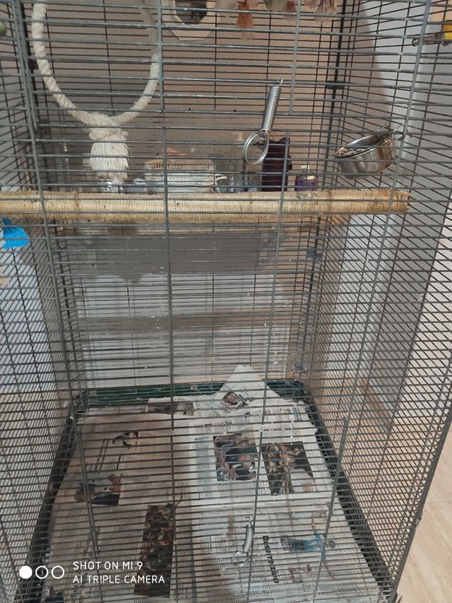 altura : 1,70 ancho : 70   con tejado y bandeja  c