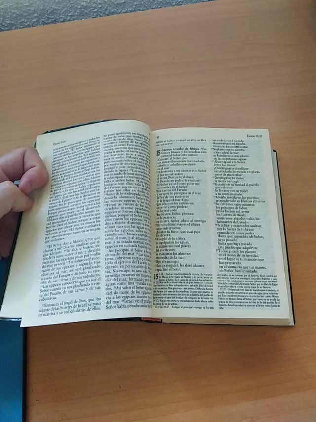 Libro "La Santa Biblia" tamaño de bolsillo.