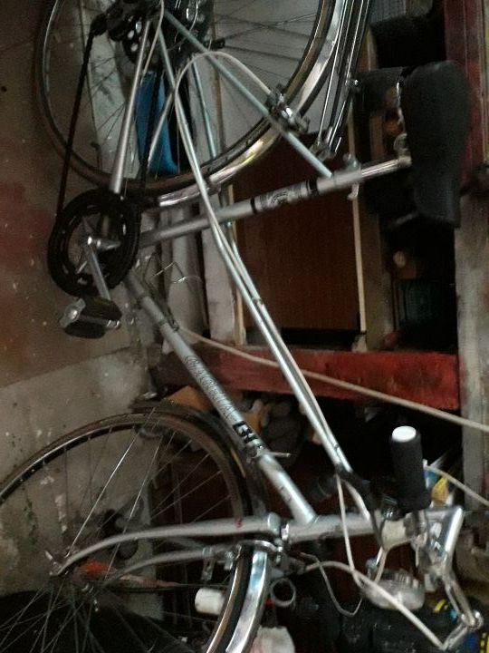 #bicicleta paseo bh mujer