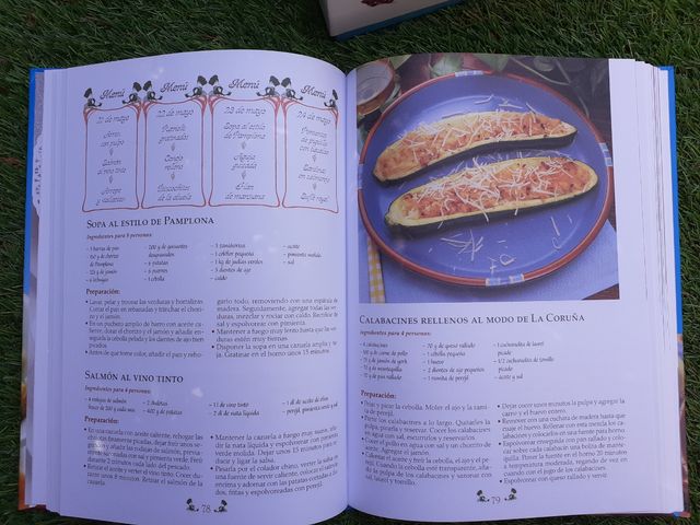 Gran libro de los 365 menús