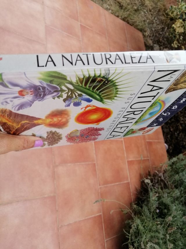 La Naturaleza. Sus fenómenos