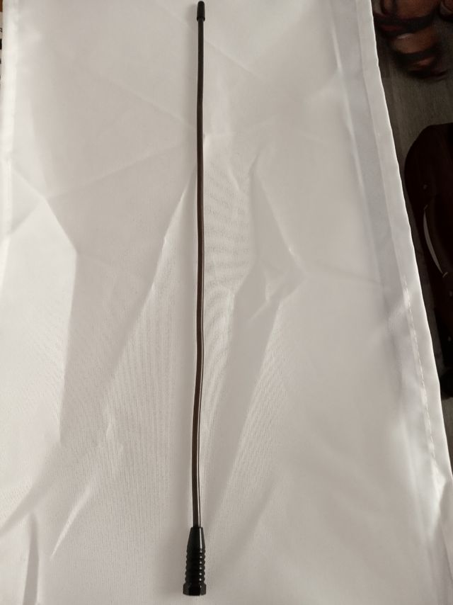 Regalo Antena coche Renault