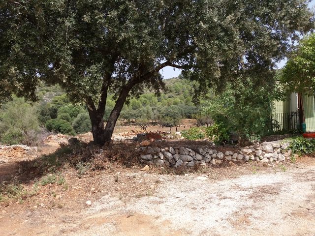 Vendo parcela edificable vallada en Alcalali