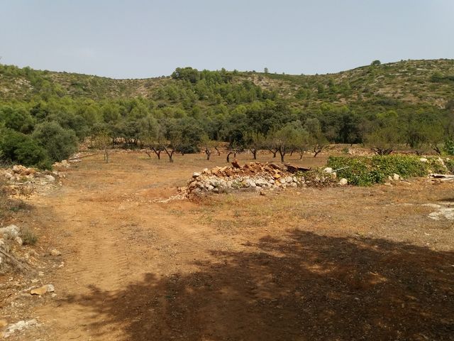 Vendo parcela edificable vallada en Alcalali