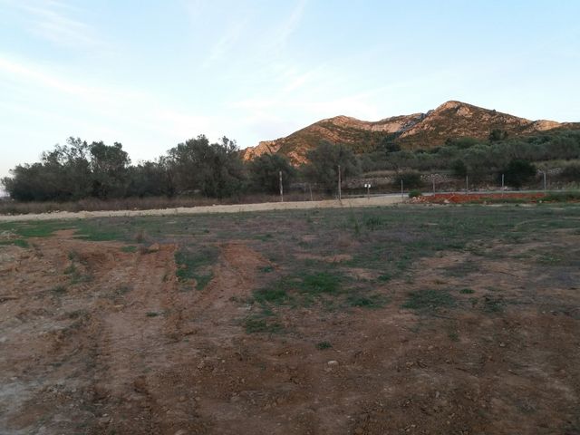 Vendo parcela edificable vallada en Alcalali