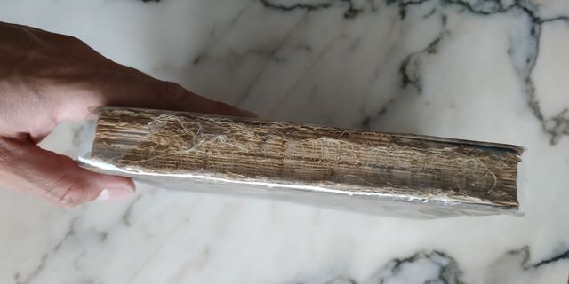 Enciclopedia grado elemental año 1940