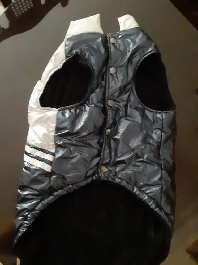 chaleco acolchado perro