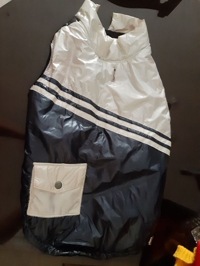 chaleco acolchado perro