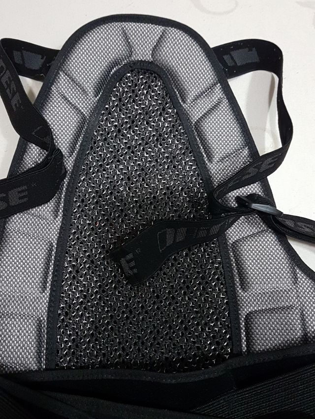 Espalda Dainese wave 1