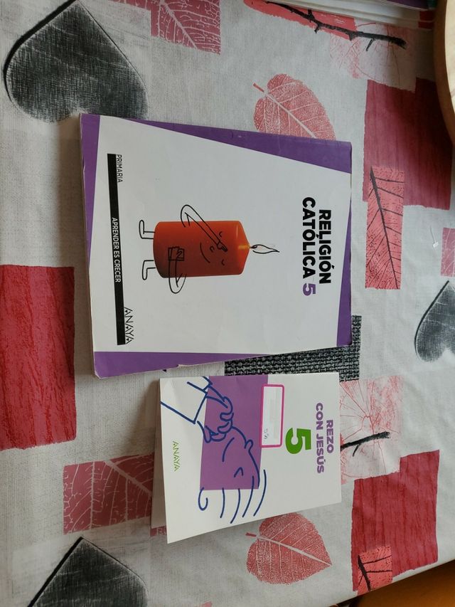 Libro religión catolica 5