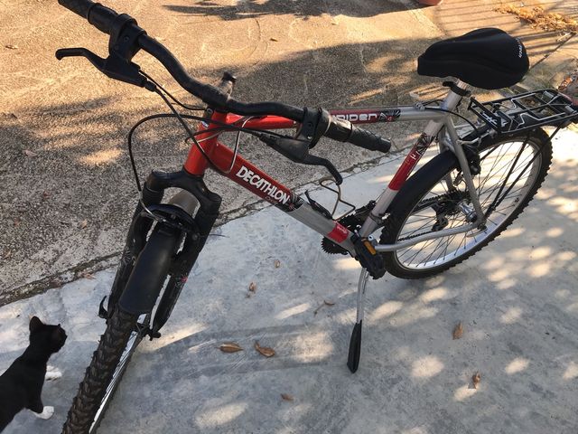 Rock rider Chocolate