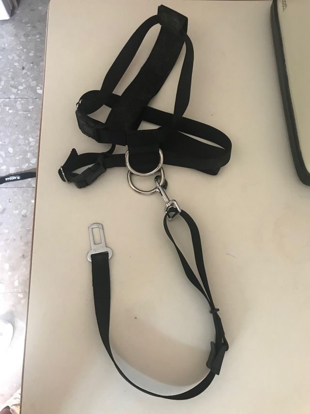 Arnés perro  para el coche
