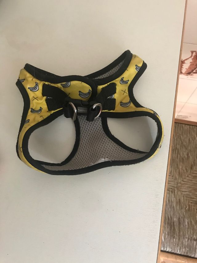 Arnés de perro