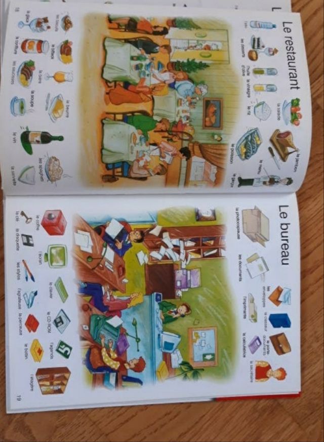 DICCIONARIO FRANCES UNIVERSAL JUNIOR