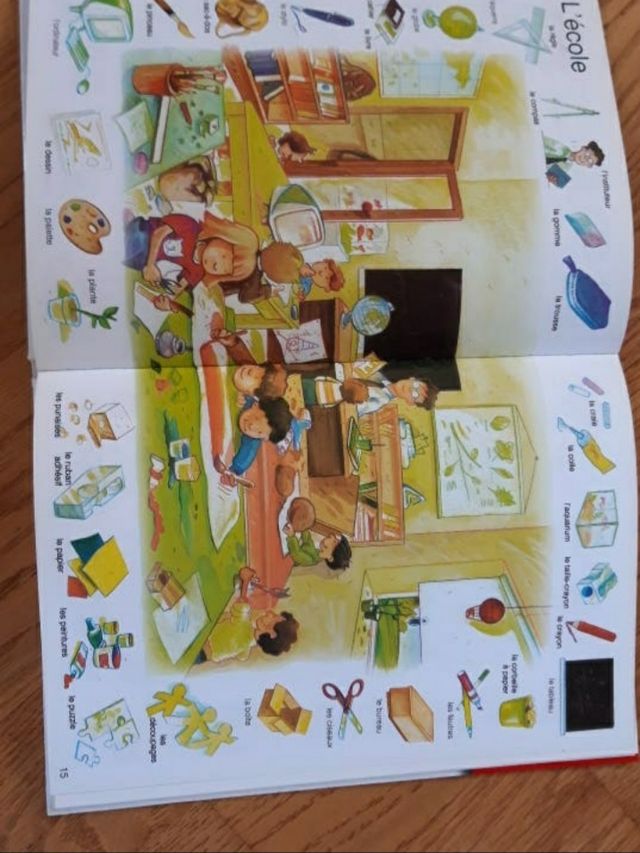 DICCIONARIO FRANCES UNIVERSAL JUNIOR