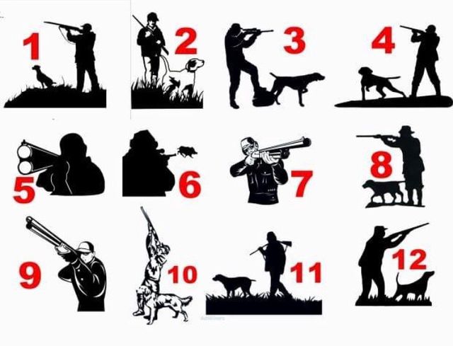 Pegatinas de cazadores