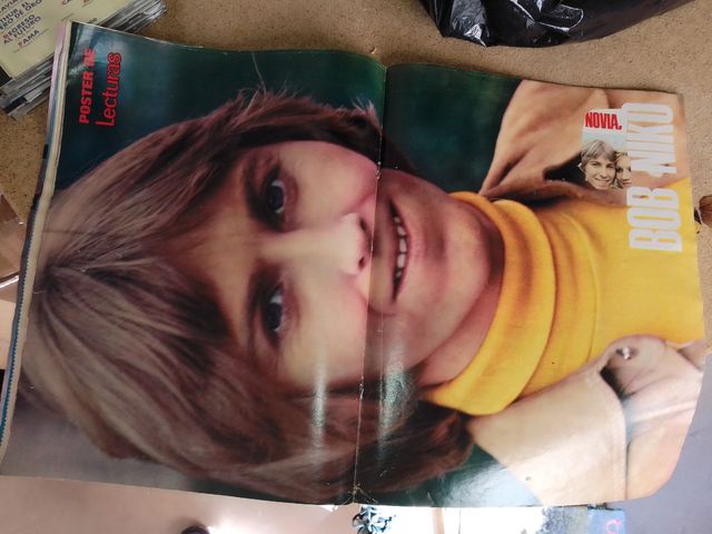 revista antigua lectura