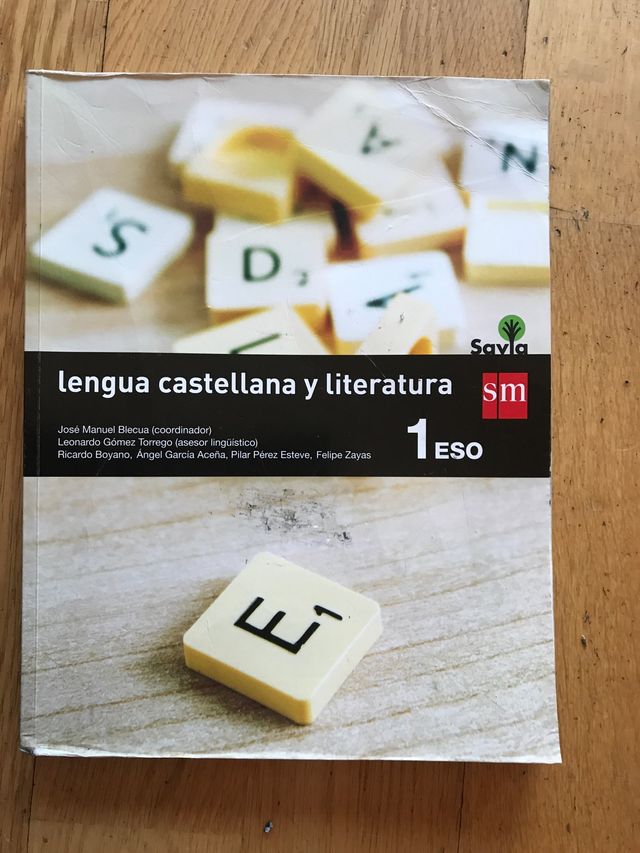 Lengua castellana y literatura