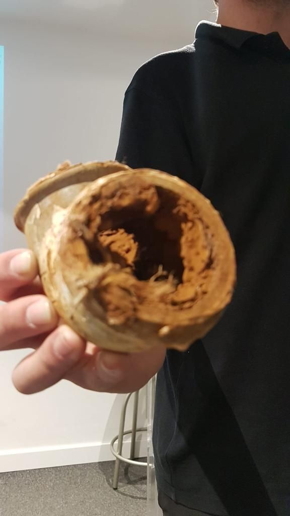 Filtro AGUA💦 Tu SALUD