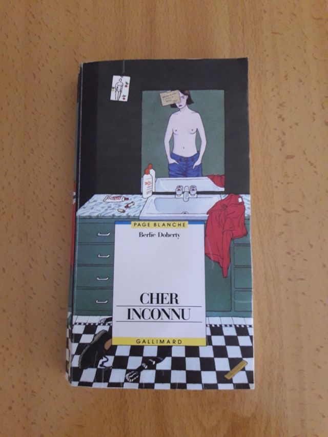 Lote de libros en francés 