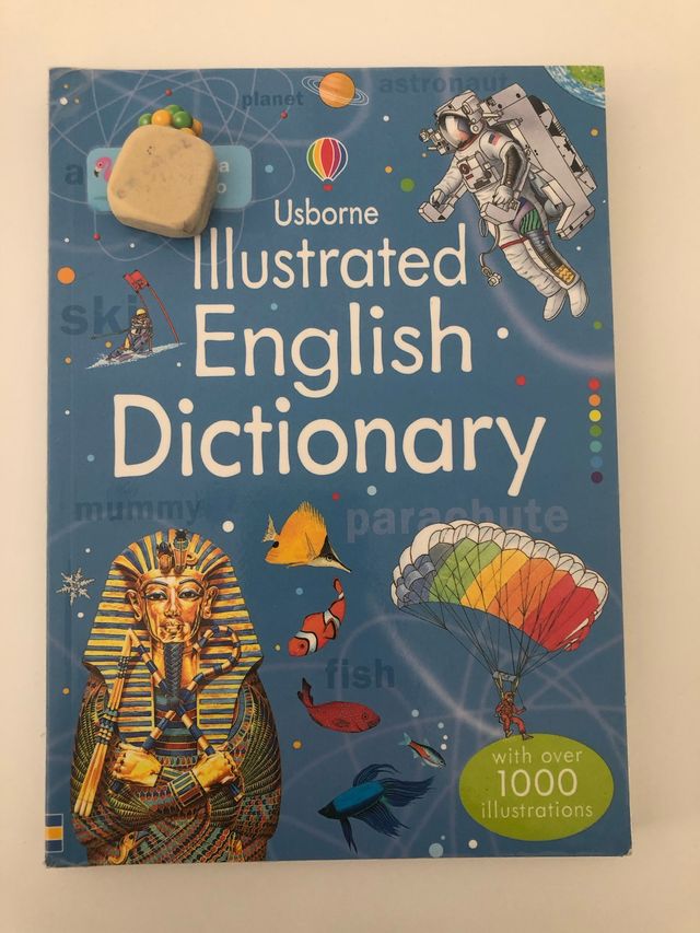 Dizionario inglese illustrato - 9781409535256