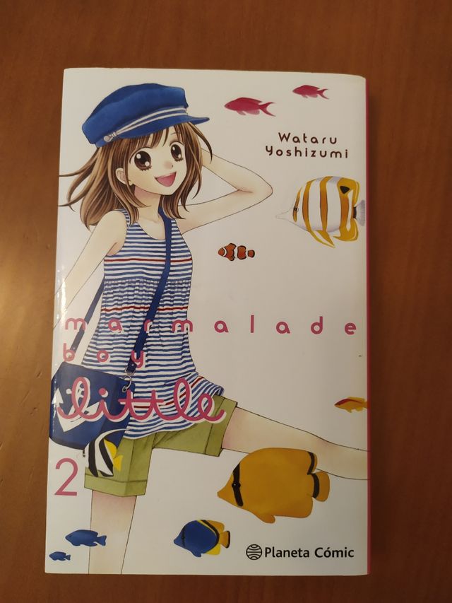 Marmalade boy little