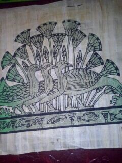 papiro egipcio con certificado de autenticidad