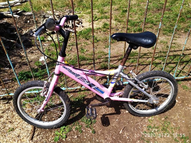 Bicicletta da ragazza BH California