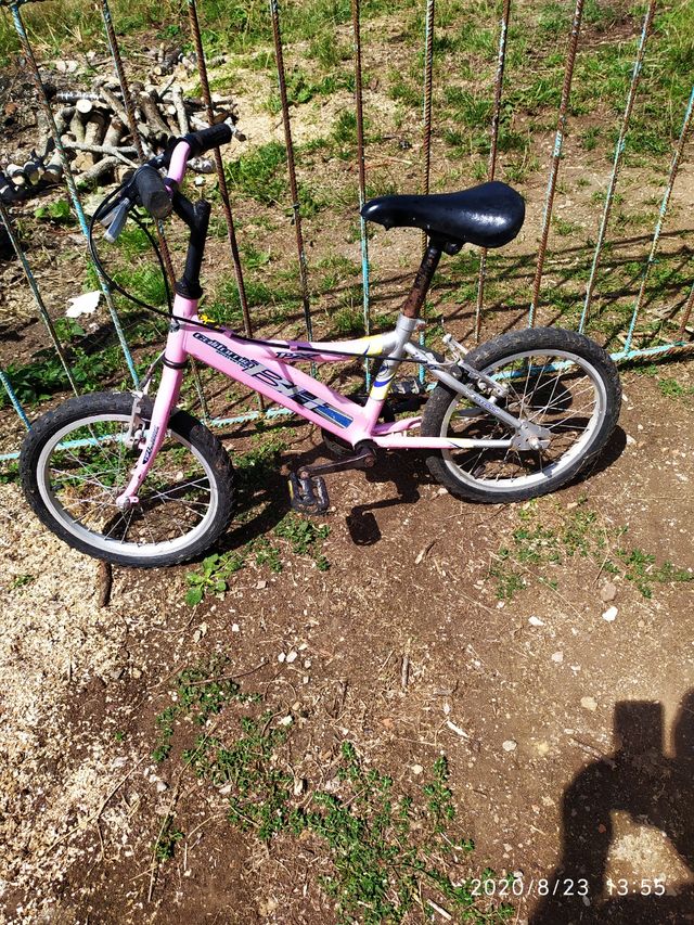 Bicicletta da ragazza BH California