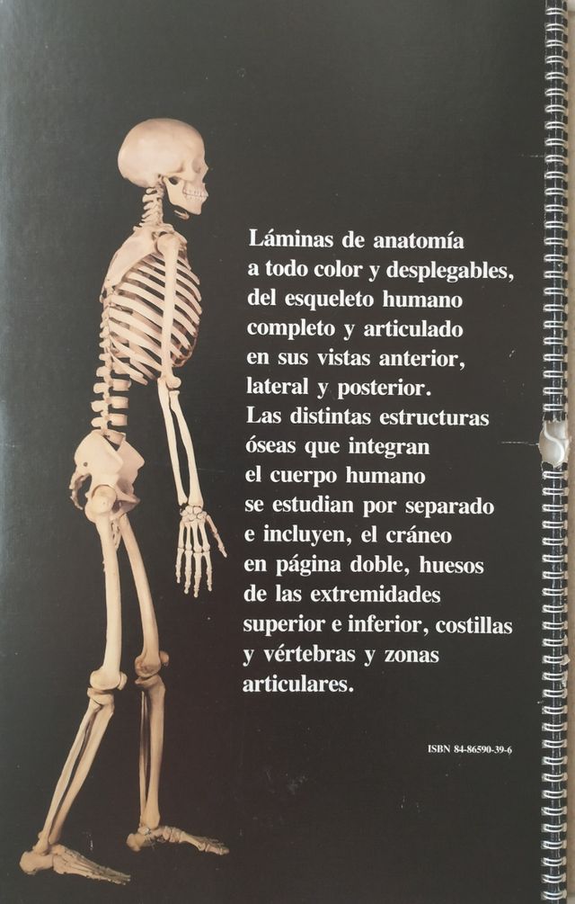 El esqueleto humano. Manual fotográfico.
