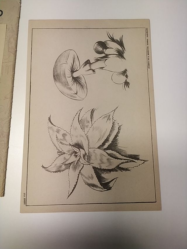 Láminas por Emilio Freixas. serie 6