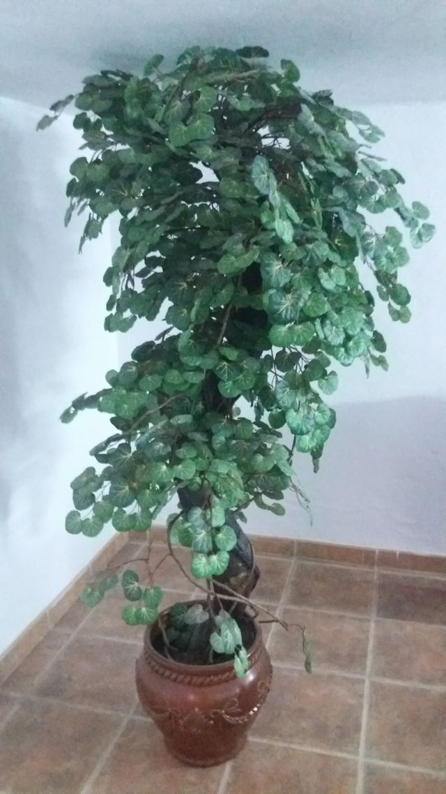 MACETA ÁRBOL IMITACIÓN de segunda mano por 45 EUR en Pizarra en WALLAPOP