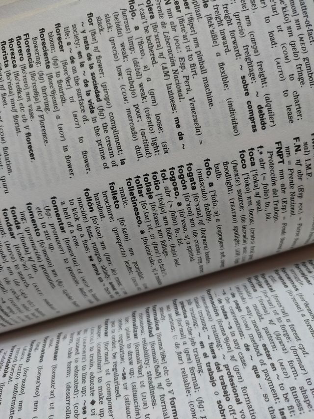 Diccionario español- inglés