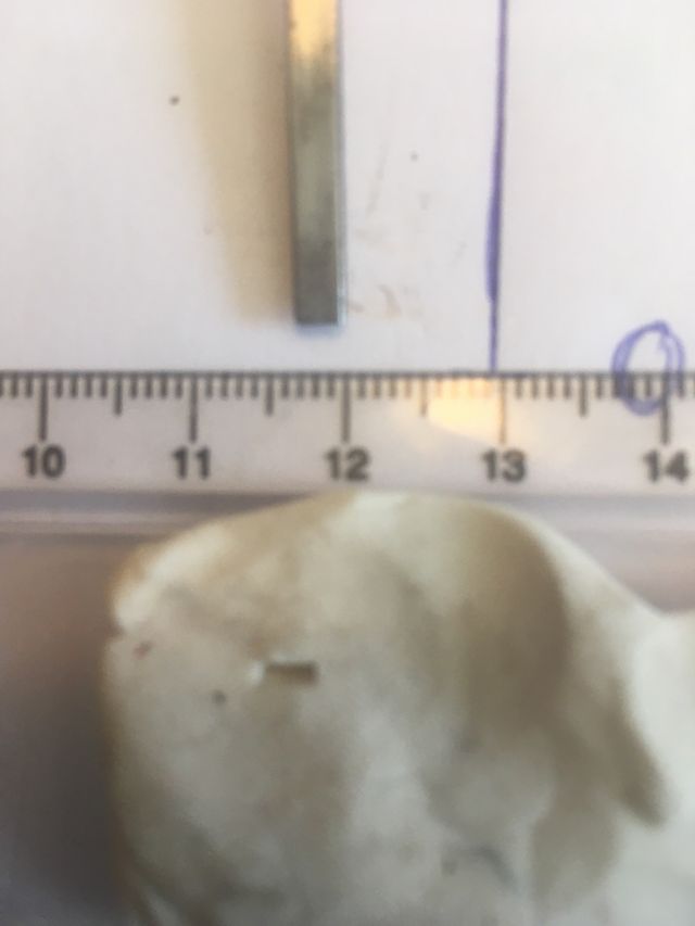 Gubia profesional addis 46