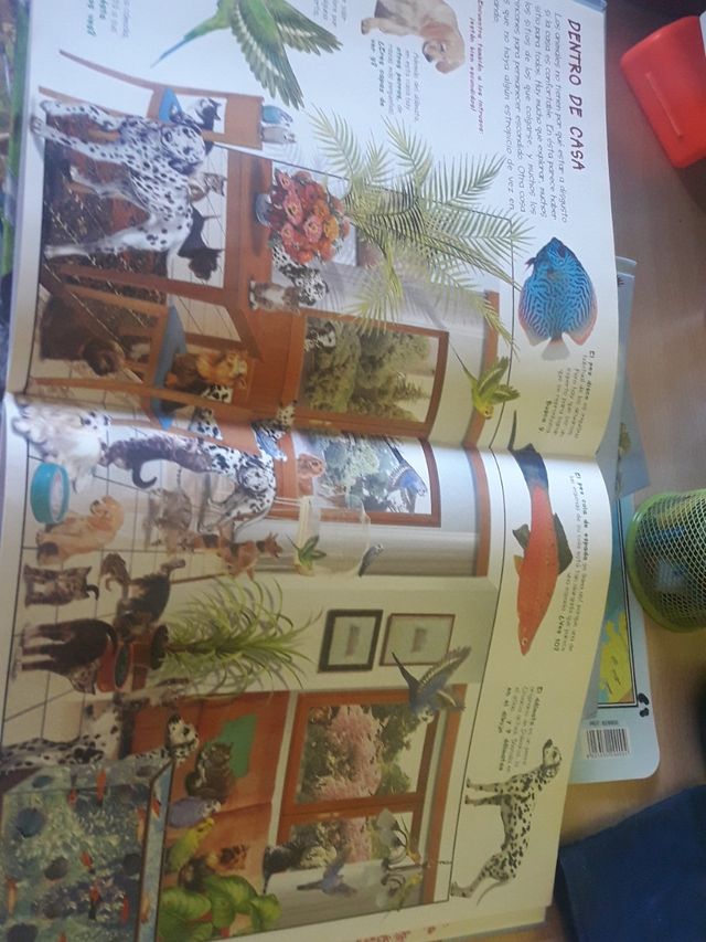 Busca los animales en..... 9 libros