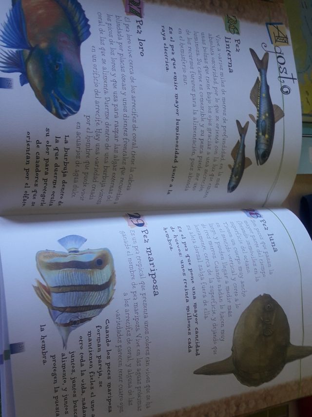 365 Curiosidades de los Animales