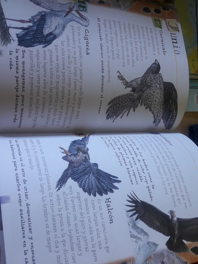 365 Curiosidades de los Animales