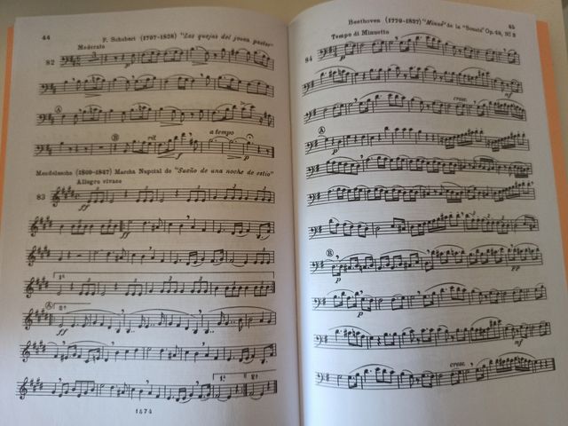 Libro II Entonación Laz