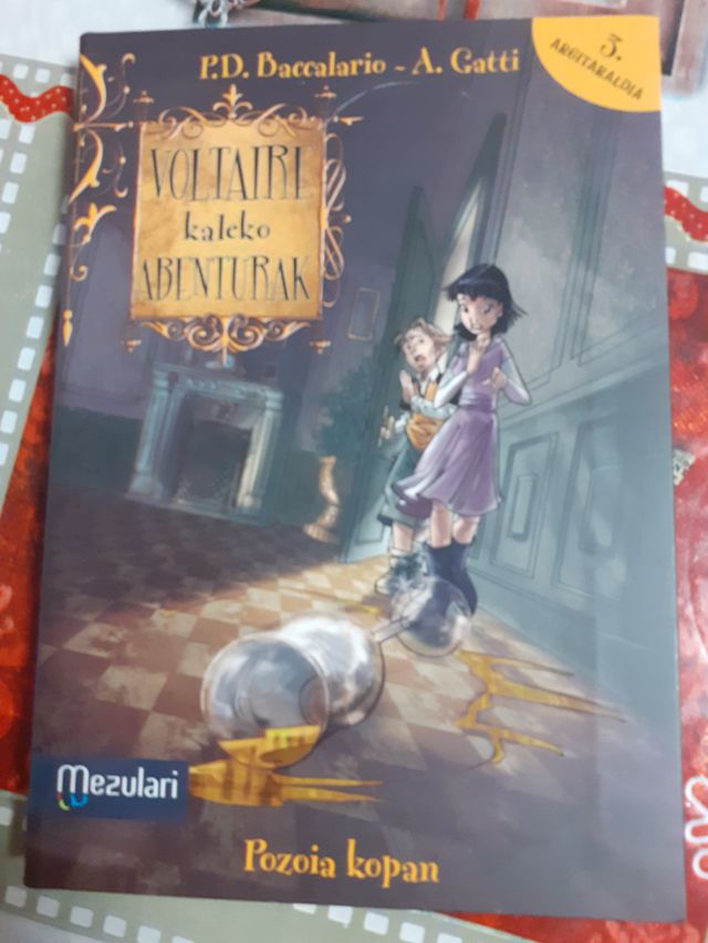 Libro voltaire kaleko abenturak