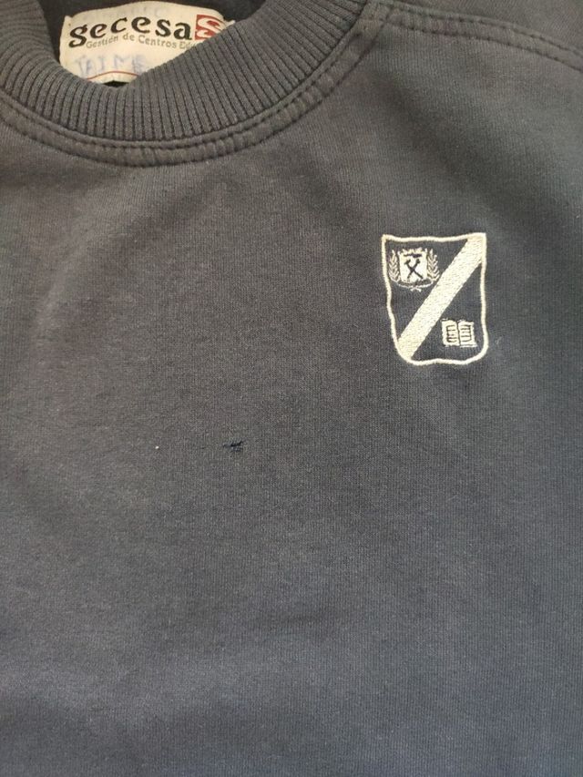 Sudadera Colegio Torrevilano