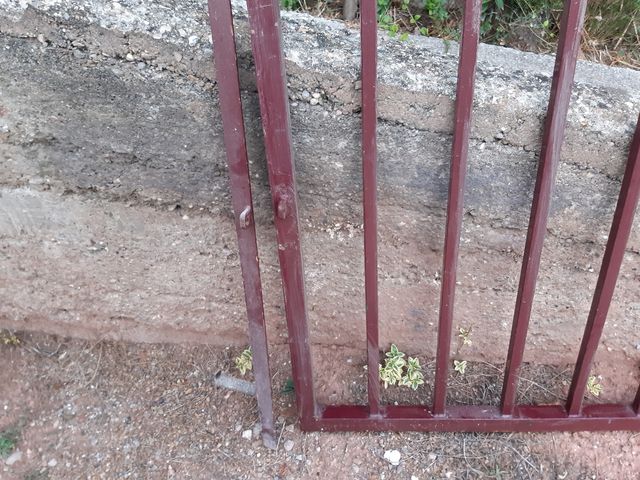 Puerta para jardin de segunda mano por 75 € en Barcelona en WALLAPOP