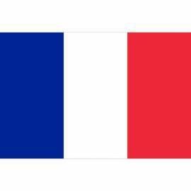 Profesora Nativa da clase de francés