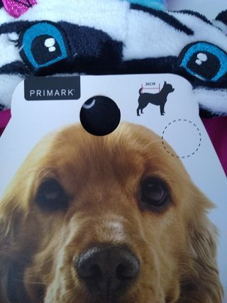 Disfraz cebra para perro de primark de segunda mano por 4 EUR en Vilanova i  la Geltrú en WALLAPOP