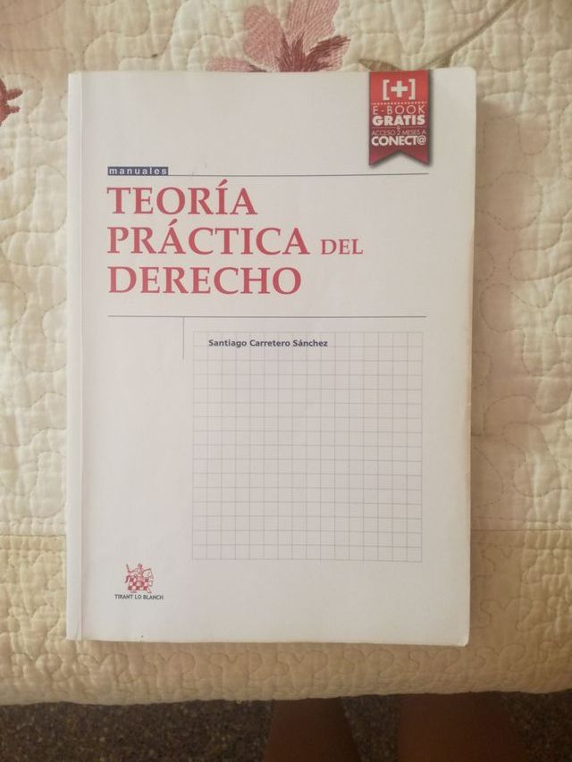 Manual teoría práctica del derecho