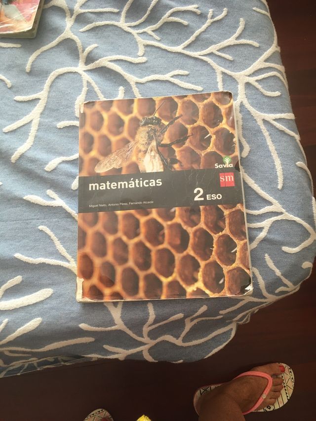 Matemáticas 