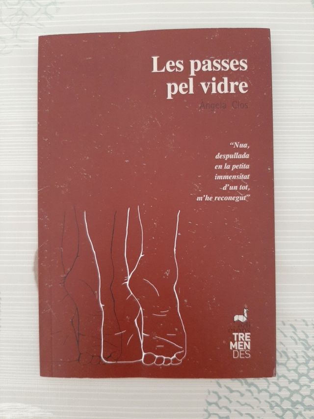 Les passes pel vidre