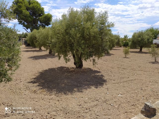 Terreno en venta