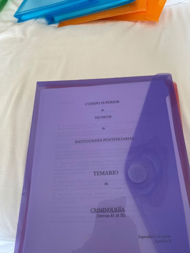 Temario Jurista En Instituciones Penitenciarias De Segunda Mano Por 180 En Getafe En Wallapop